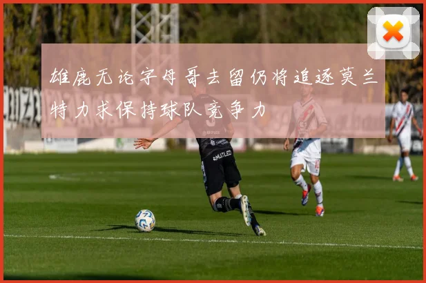 雄鹿无论字母哥去留仍将追逐莫兰特力求保持球队竞争力