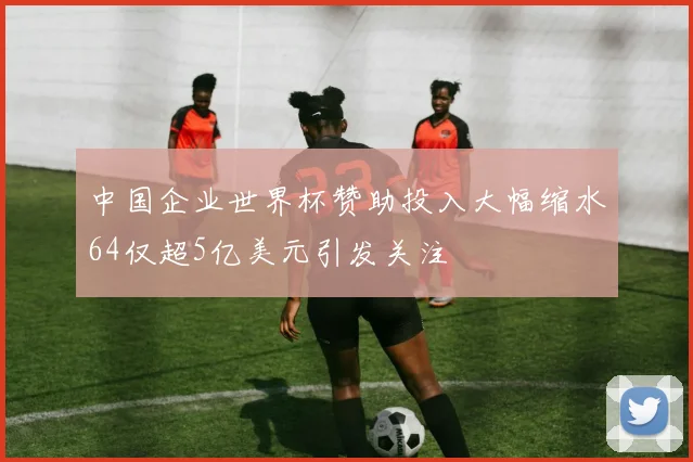 中国企业世界杯赞助投入大幅缩水64仅超5亿美元引发关注